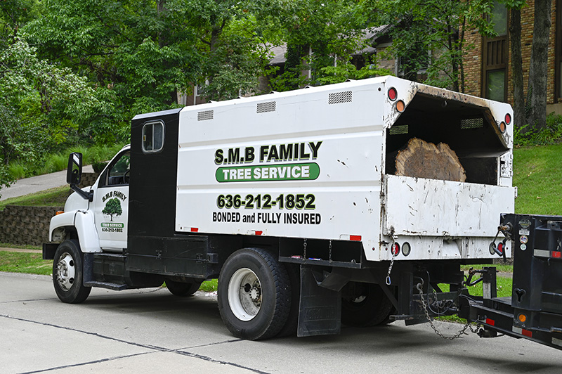 tree service house springs mo