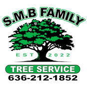 SMB Family Tree Services 636-212-1852